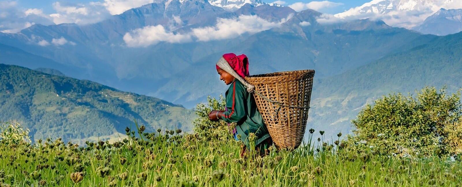 Dhampus Sarangkot with Paragliding