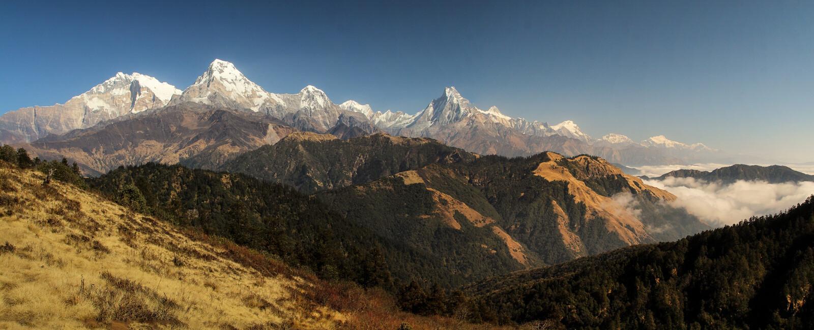 Mohare Danda Trek